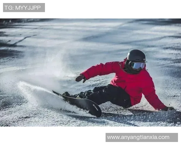 陈芳独家分享篮球心得与技巧提升之路让你在球场上更出色
